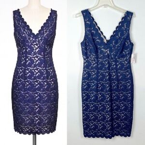NWT Roz & Ali Navy Blue Lace Dress Scalloped V-Neck Hem Elegant Feminine 12